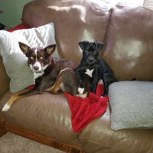 Meet your Posher, Mark